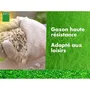 BHS Semences de gazon haute résistance 10 kg - Usage intensif pour jeux et jardin - Engrais organique