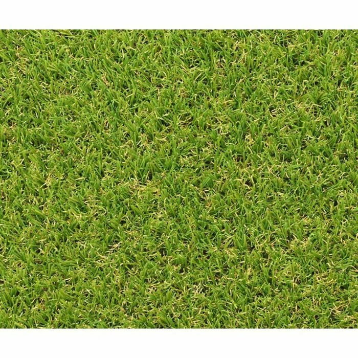 Exelgreen Gazon synthétique CAMPUS 2D 1x5m 25mm