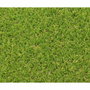 Exelgreen Gazon synthétique CAMPUS 2D 1x5m 25mm