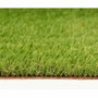 Exelgreen Gazon synthétique CAMPUS 2D 1x5m 25mm