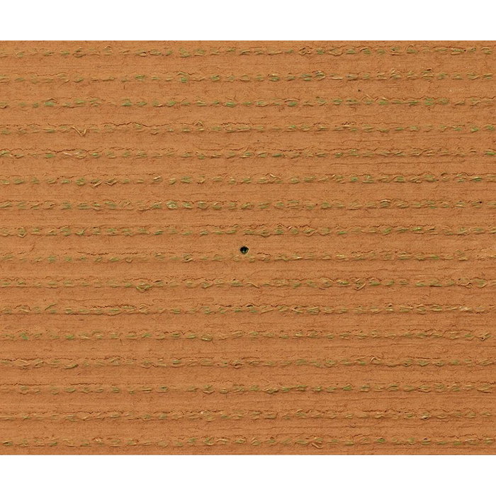Exelgreen Gazon synthétique CAMPUS 2D 1x5m 25mm