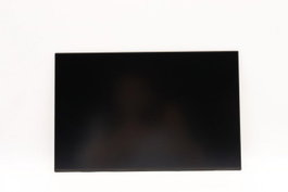 Lenovo DISPLAY INX 14.0 WUXGA AG Panneau d'affichage 14,0 pouces IPS