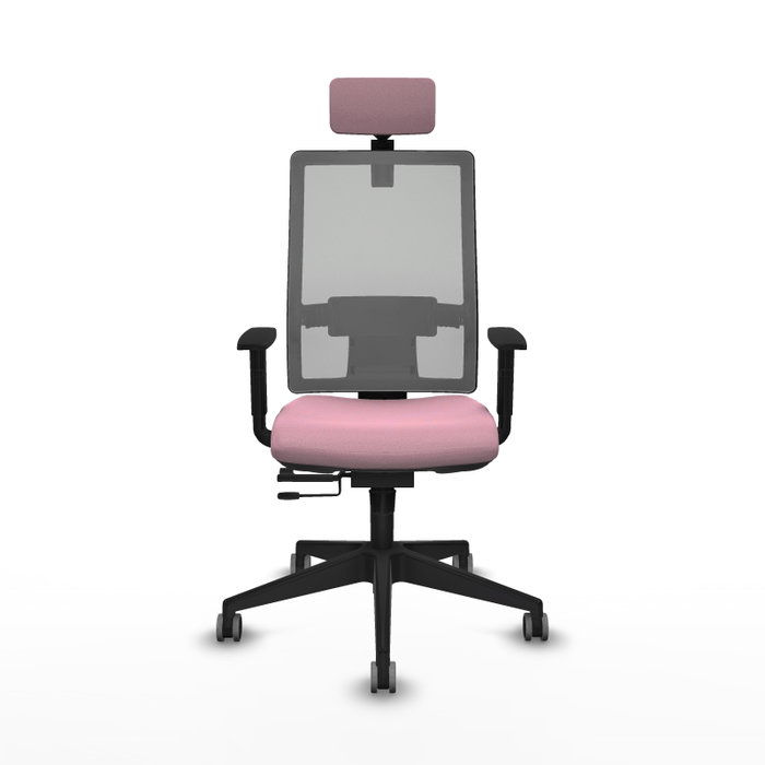 Piqueras y Crespo Chaise de Bureau Horna avec Appui-tête et Soutien Lombaire, Rose et Gris Piqueras y Crespo Chaise de Bureau Horna avec Appui-tête et Soutien Lombaire, Rose et Gris