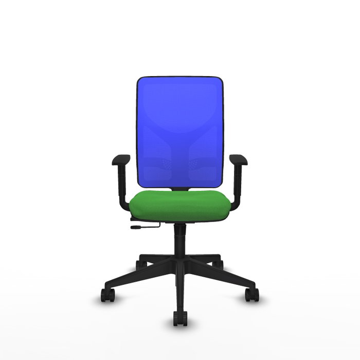 PIQUERAS Y CRESPO Chaise Motilla Synchrone/Traslack Vert/Bleu PIQUERAS Y CRESPO Chaise Motilla Synchrone/Traslack Vert/Bleu