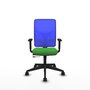 PIQUERAS Y CRESPO Chaise Motilla Synchrone/Traslack Vert/Bleu
