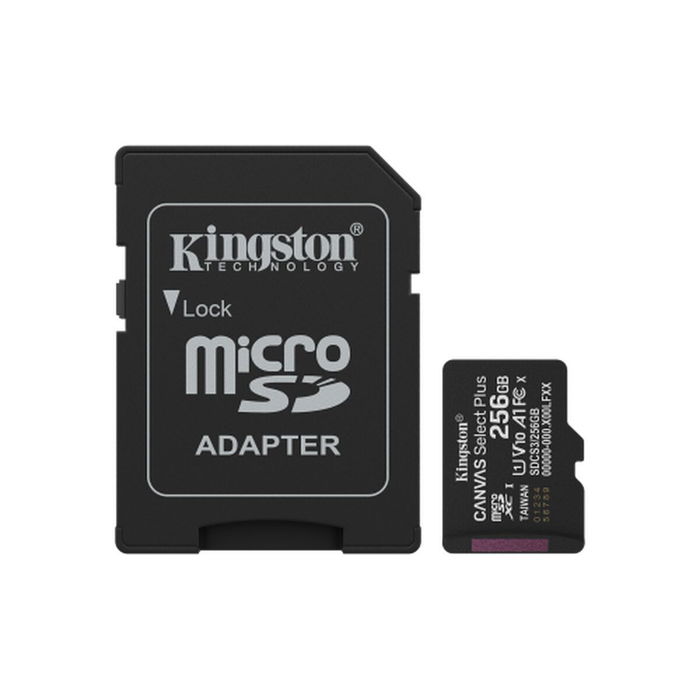 Carte Mémoire Micro SD avec Adaptateur Kingston SDCS3/256GB