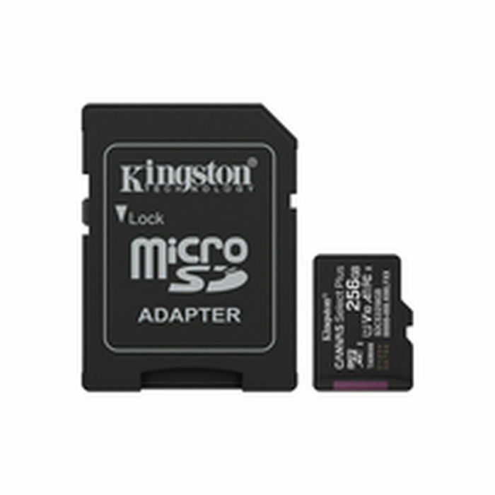 Carte Mémoire Micro SD avec Adaptateur Kingston SDCS3/256GB