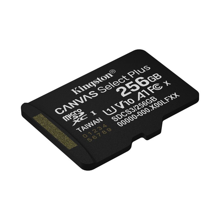 Carte Mémoire Micro SD avec Adaptateur Kingston SDCS3/256GB 256 GB