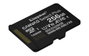 Kingston SDCS3/256GB Carte Mémoire microSDXC 256 Go 150 Mo/s A1 U3 V30