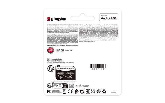 Kingston SDCS3/256GB Carte Mémoire microSDXC 256 Go 150 Mo/s A1 U3 V30 Kingston SDCS3/256GB Carte Mémoire microSDXC 256 Go 150 Mo/s A1 U3 V30
