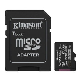 Kingston SDCS3/256GB Carte Mémoire microSDXC 256 Go 150 Mo/s A1 U3 V30