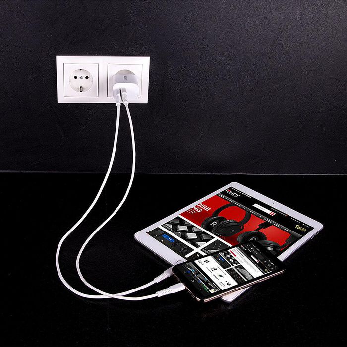Lindy Chargeur USB double port Type-A et Type-C 20W Power Delivery avec charge rapide et sécurité
