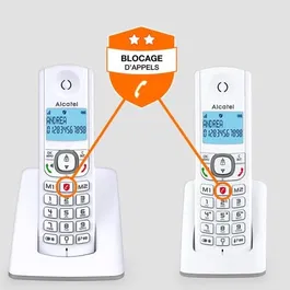 Alcatel F530 Duo - Téléphone DECT sans fil avec 2 combinés, écran rétroéclairé, fonction blocage d'appels, mains libres, 2 mémoires directes, Blanc/Gris