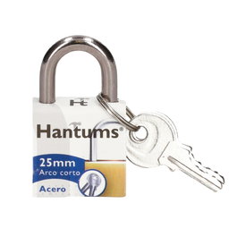Hantums Lot de 12 Cadenas en Acier à Anse Courte 25mm