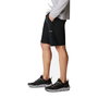 Shorts pour Hommes Columbia Silver Ridge™ Noir L