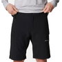 Shorts pour Hommes Columbia Silver Ridge™ Noir L