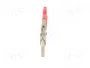 Knipex Pince multiprise 250 mm avec revêtement plastique