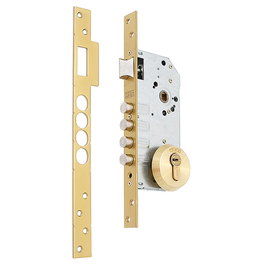 Tesa Cerradura Embutir Bulones R100B566E - Serrure de sécurité monopoint à embotter avec 4 boulons, cylindre T60 60mm, finition acier émaillé et bouclier E300L