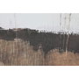 Home ESPRIT Toile Moderne 123 x 4 x 183 cm