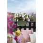 Elho Vibia Campana Flower Bridge - Planteur de balcon rectangulaire Vert pistache