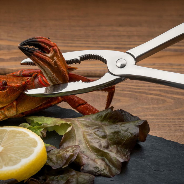 Koala Pince à fruits de mer Inox Eco Friendly 20x4x1 cm