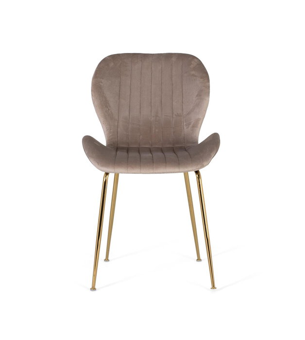 GINER Y COLOMER - Lot de 4 chaises design avec assise en velours gris clair et structure en acier aux finitions dorées - Confortable et élégant - Nécessite un assemblage