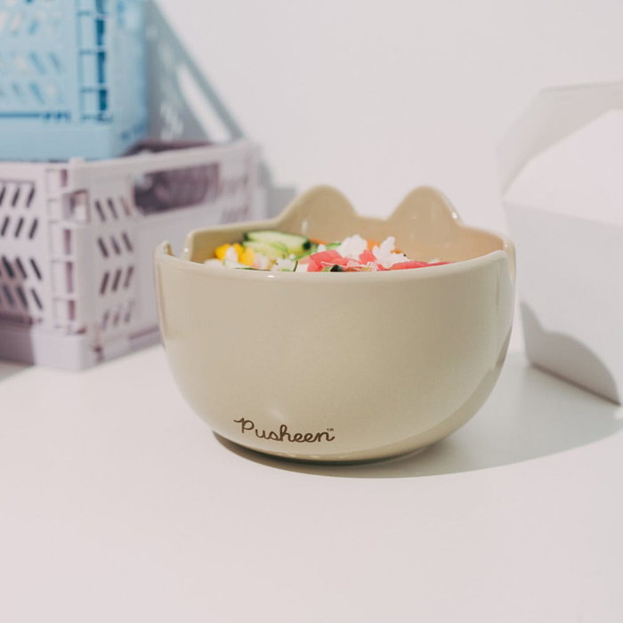 ERIK Bol de ramen 3D Pusheen en grès