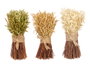 Giftdecor Bouquet de Céréales Rafia Orge 3 Couleurs Assorties Bois Fibre Naturelle 15x27x17 cm (Set de 6)