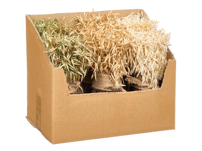 Giftdecor Bouquet de Céréales Rafia Orge 3 Couleurs Assorties Bois Fibre Naturelle 15x27x17 cm (Set de 6)