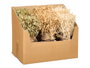 Giftdecor Bouquet de Céréales Rafia Orge 3 Couleurs Assorties Bois Fibre Naturelle 15x27x17 cm (Set de 6)