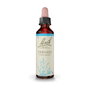 Bach Original Elixir Floral Vervain Verveine n°31, 20 ml