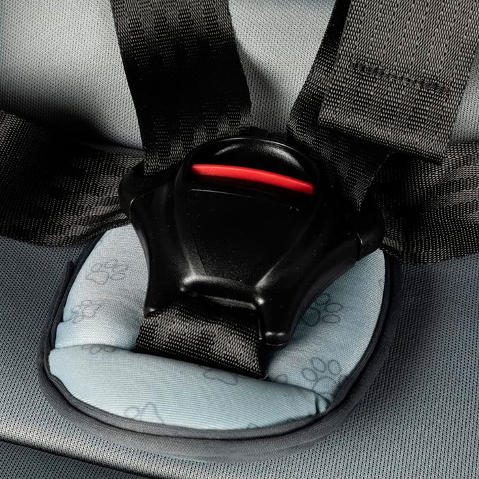 Colzani CZ11032 Siège Auto Enfant 9-36 kg Groupe 1-2-3 101 Dalmatiens R44-04 Gris Bleu Perle