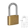 WOLFPACK LINEA PROFESIONAL Chaîne en laiton anse longue 30 mm