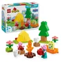LEGO DUPLO - Jeu de construction Peppa Pig Les Vacances au Camping - 10452 - Jeu éducatif 32 pièces pour enfants dès 2 ans