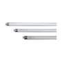 Edm Tube fluorescent 10W bleu (lumière actinique) pour tue-insectes, modèle T8