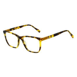 Monture de Lunettes Homme Benetton BEO1115 54103