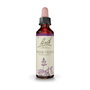 Bach Original Water Violet 20 ml