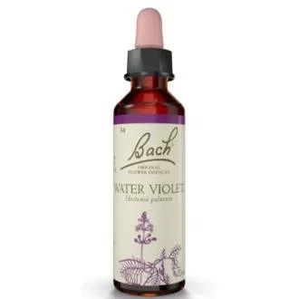 Flowers Bach Original Fleurs Bach Water Violet Violette Eau 2 Flowers Bach Original Fleurs Bach Water Violet Violette Eau 2