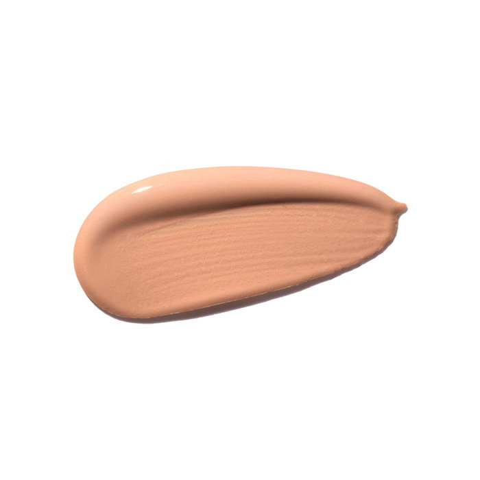 Shiseido Synchro Skin Self-Refreshing Cushion Compact 350