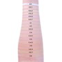Makeup Revolution Conceal & Define Anticernes liquide C5