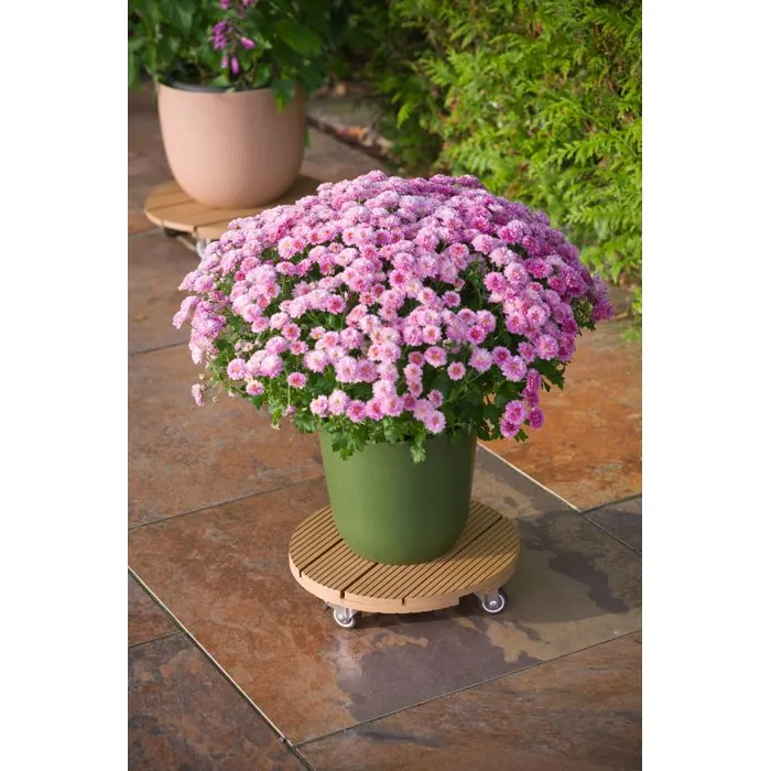 Nature Support de pot roulant en WPC bois naturel - Plateau rond H 7,5 x Ø 30 cm avec 4 roues multidirectionnelles freinées