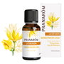 Pranarôm La Diffusion Bien-être à la Maison 30 ml