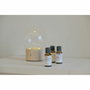 Pranarôm La Diffusion Bien-être à la Maison 30 ml