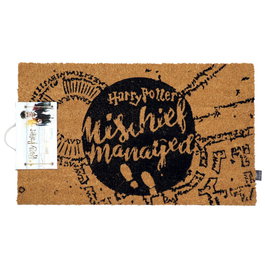 SD TOYS Tapis de Bienvenue Harry Potter Mischief Managed - 60 x 40 cm en Fibre de Coco et Base PVC