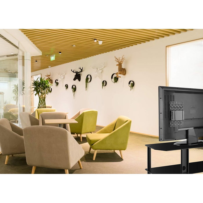 Support de TV Neomounts NS-MPM100 5 kg