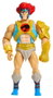 Masters of the Universe x ThunderCats figurine Lion-O 14 cm