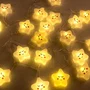 Guirlande LED Intérieure HO-XMAS-044-IP20-1,5M WW à Piles 1,5m