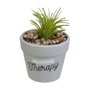 Home Deco Factory Plante artificielle avec pot