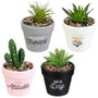Home Deco Factory Plante artificielle avec pot