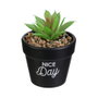 Home Deco Factory Plante artificielle avec pot